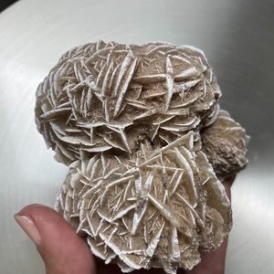 Desert Rose Selenite